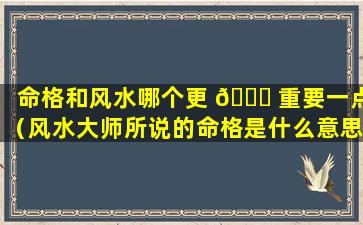 命格和风水哪个更 🐝 重要一点（风水大师所说的命格是什么意思）